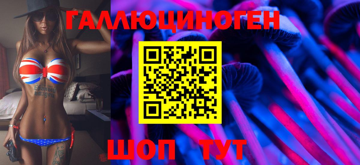 Псилоцибиновые грибы прущие грибы Алушта