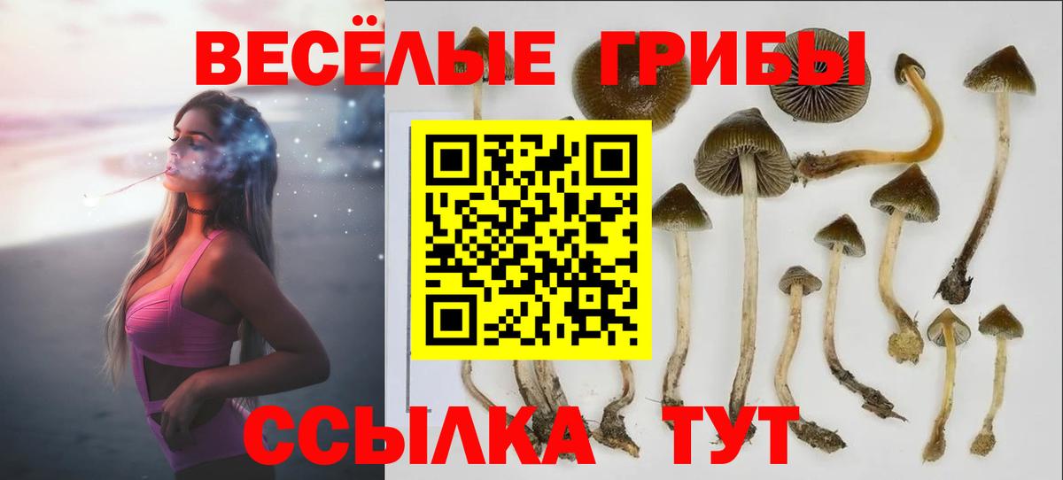 Галлюциногенные грибы Cubensis  Вход с VPN  Алушта 